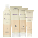 Kit Aveda Color Conserve Complete