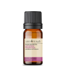 Óleo Essencial Lavanda Francesa, da marca Aroom Aromaterapia.