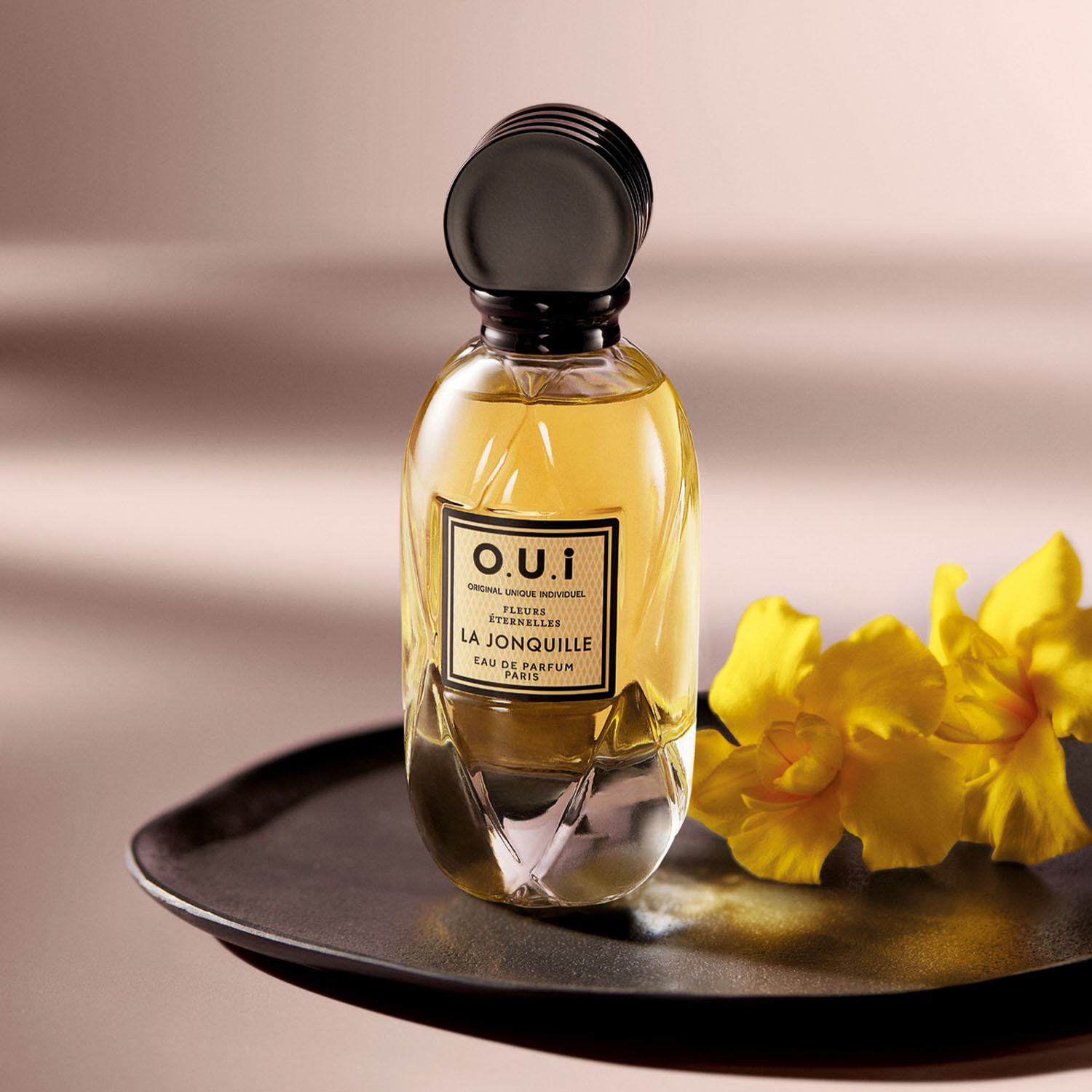 Kit La Jonquille | O.U.i