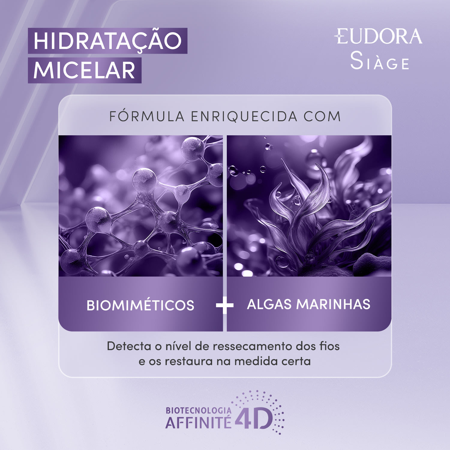 Shampoo Siàge Hidratação Micelar 250ml