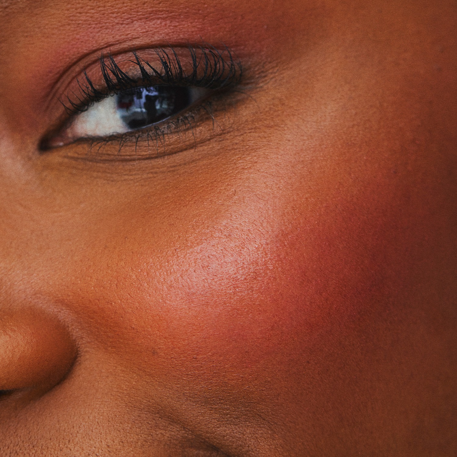 Blush Jelly Rosa Pink Toda Fresh Quem Disse, Berenice? 5g