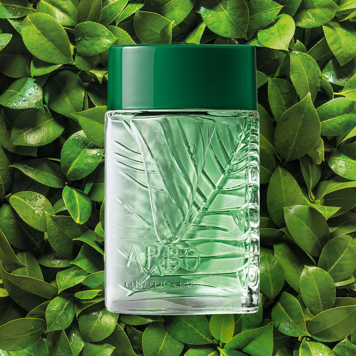 Arbo Botanic Desodorante Colônia 100ml