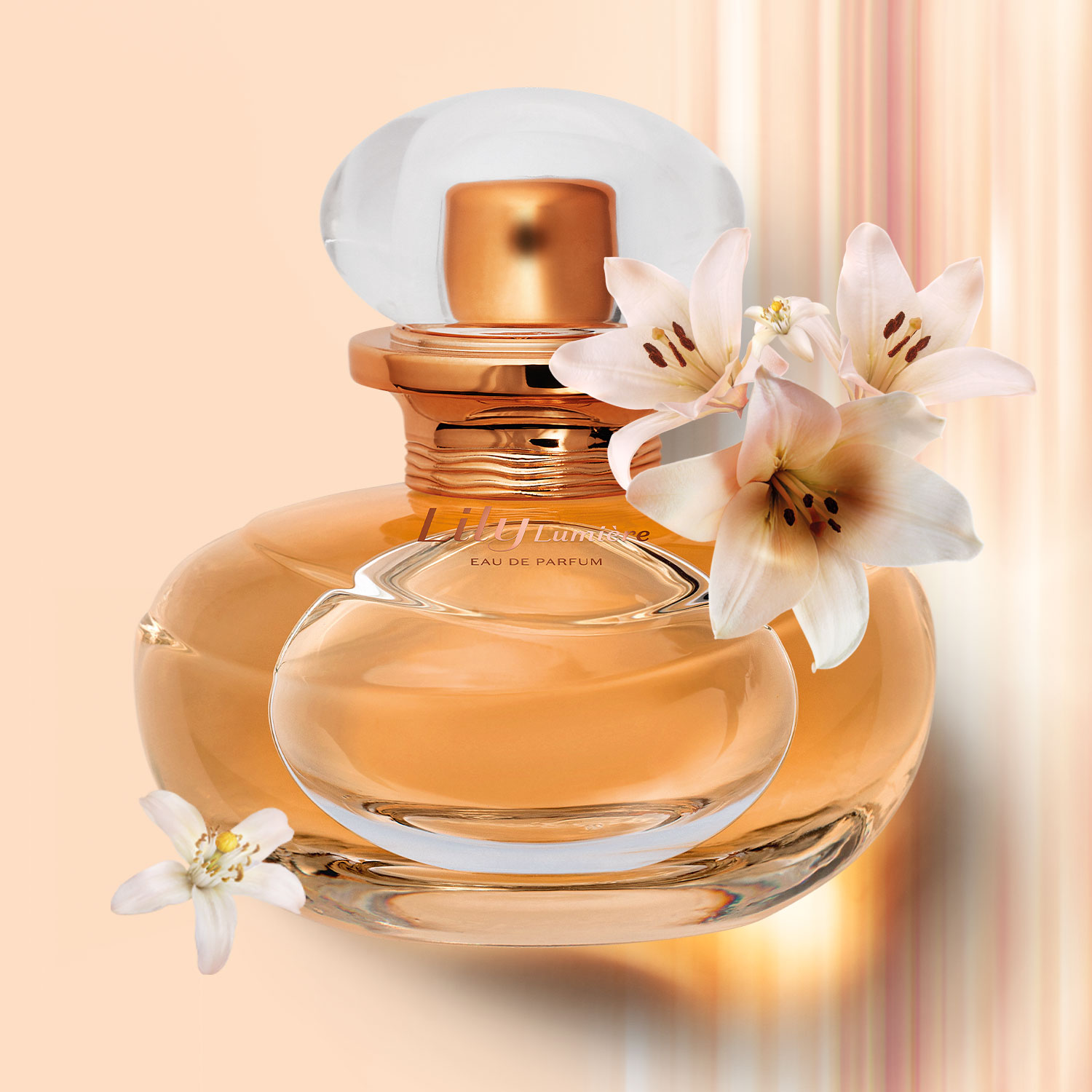 Combo Lily Lumière: Eau De Parfum 30ml + Creme Acetinado Hidratante  Desodorante Corporal 250g