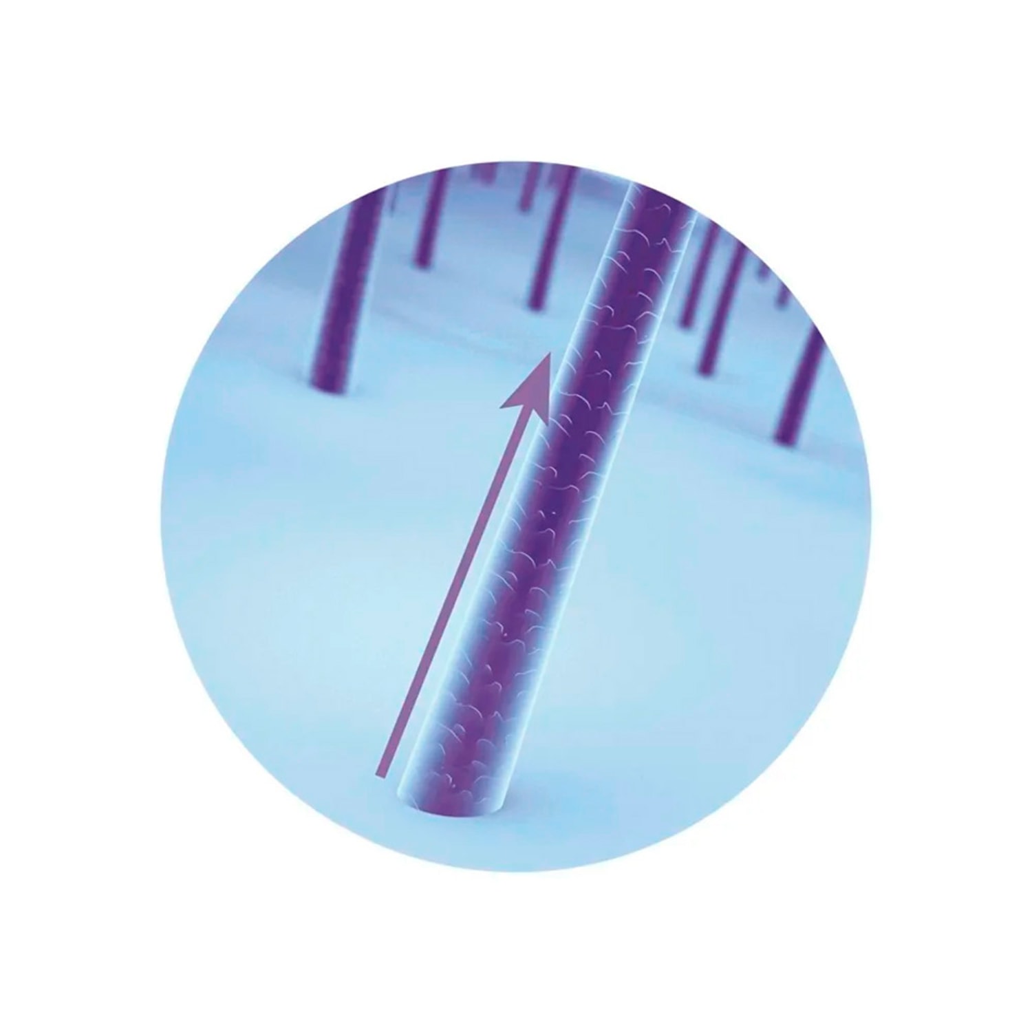 Máscara Capilar Siàge Acelera o Crescimento 250g 9