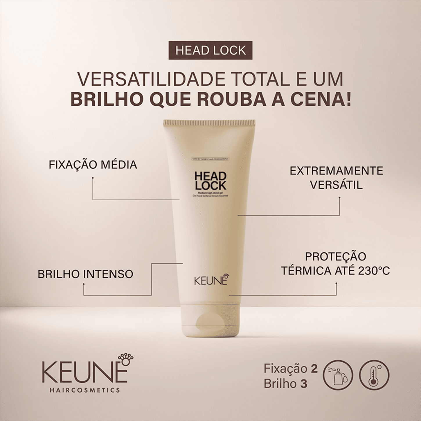 Traz a imagem do Gel Fixador "Head Lock"  e texto sobre o produto: "Versatilidade total e um brilho que rouba a cena", "Fixação média", "Extremamente versátil", "Brilho intenso" e "Proteção térmica até 230°C".