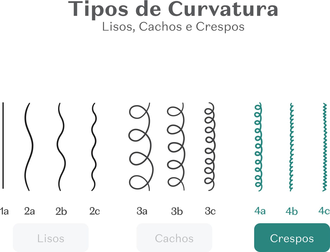 Imagem mostrando diferentes tipos de curvatura de cabelos, incluindo lisos, cachos e crespos, com legendas em português.