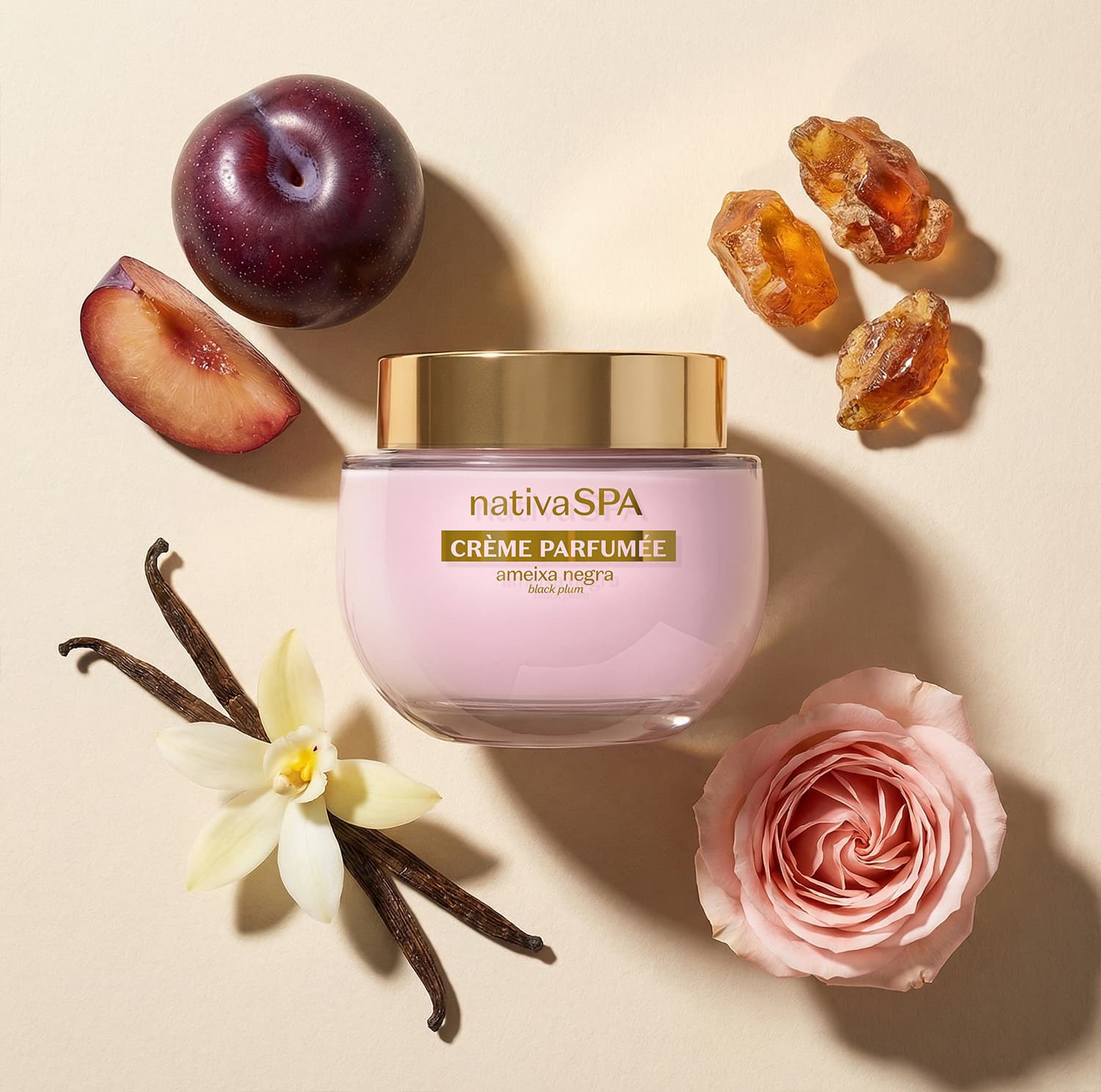 Pote de creme perfumado Nativa SPA Ameixa Negra em fundo rosa claro rodeado por ingredientes, sendo uma rosa cor-de-rosa, duas favas de baunilha com uma flor de baunilha sobre elas uma ameixa negra inteira e outra fatiada em meia lua e cristais âmbar.