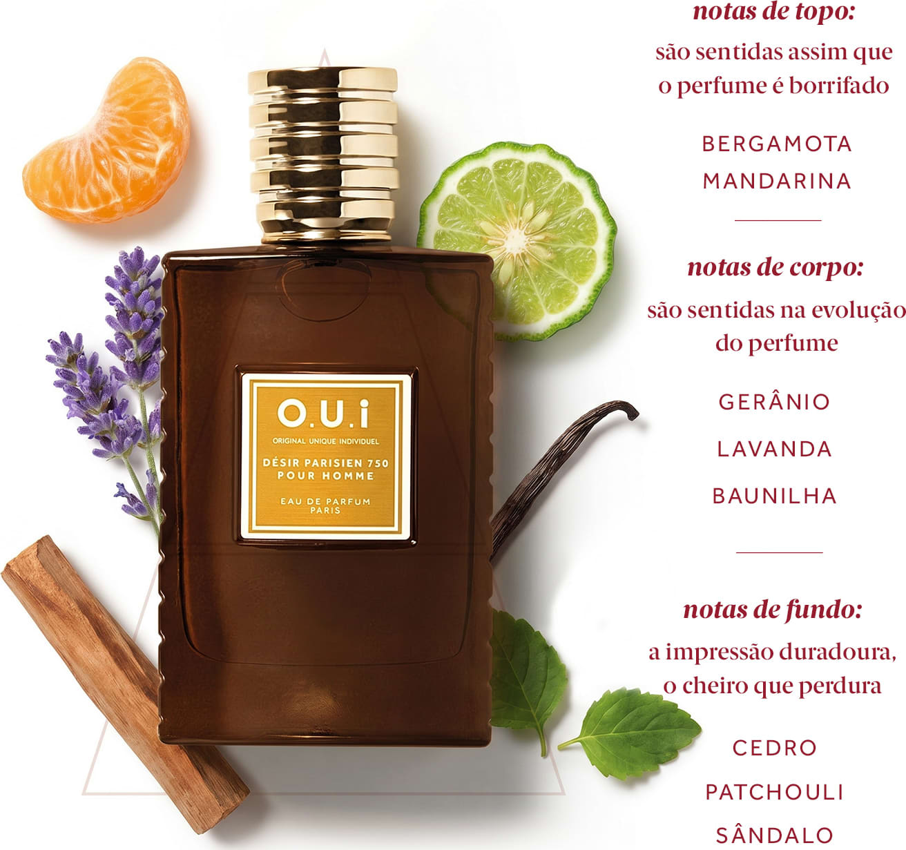 Frasco de item de perfumaria da marca O.U.i com notas de topo de bergamota, mandarina, notas de corpo de gerânio, lavanda, baunilha e notas de fundo de cedro, patchouli, sândalo.