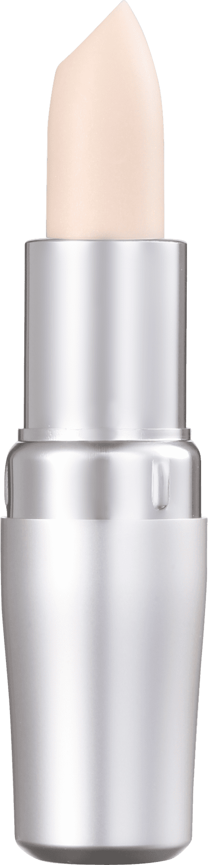 Shiseido Protective - Hidratante Labial 4g