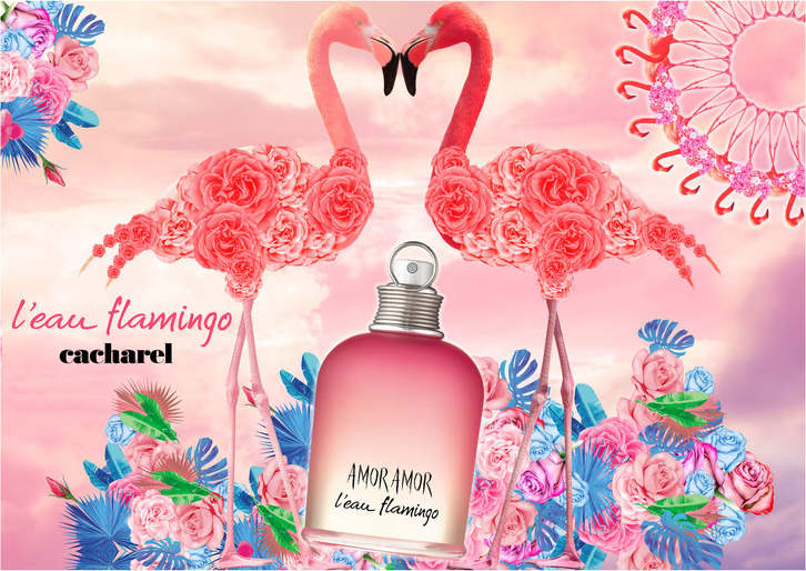 Amor Amor L'Eau Flamingo Cacharel Eau de Toilette - Perfume Feminino 50ml
