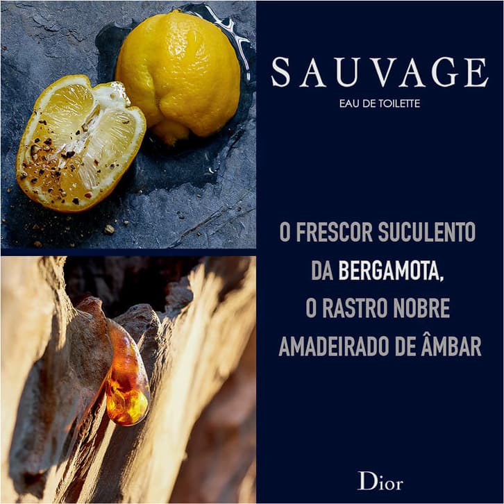 Sauvage Dior Eau de Toilette - Perfume Masculino 60ml