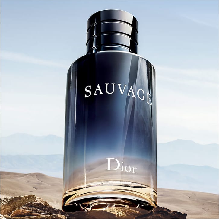 Sauvage Dior Eau de Toilette - Perfume Masculino 100ml