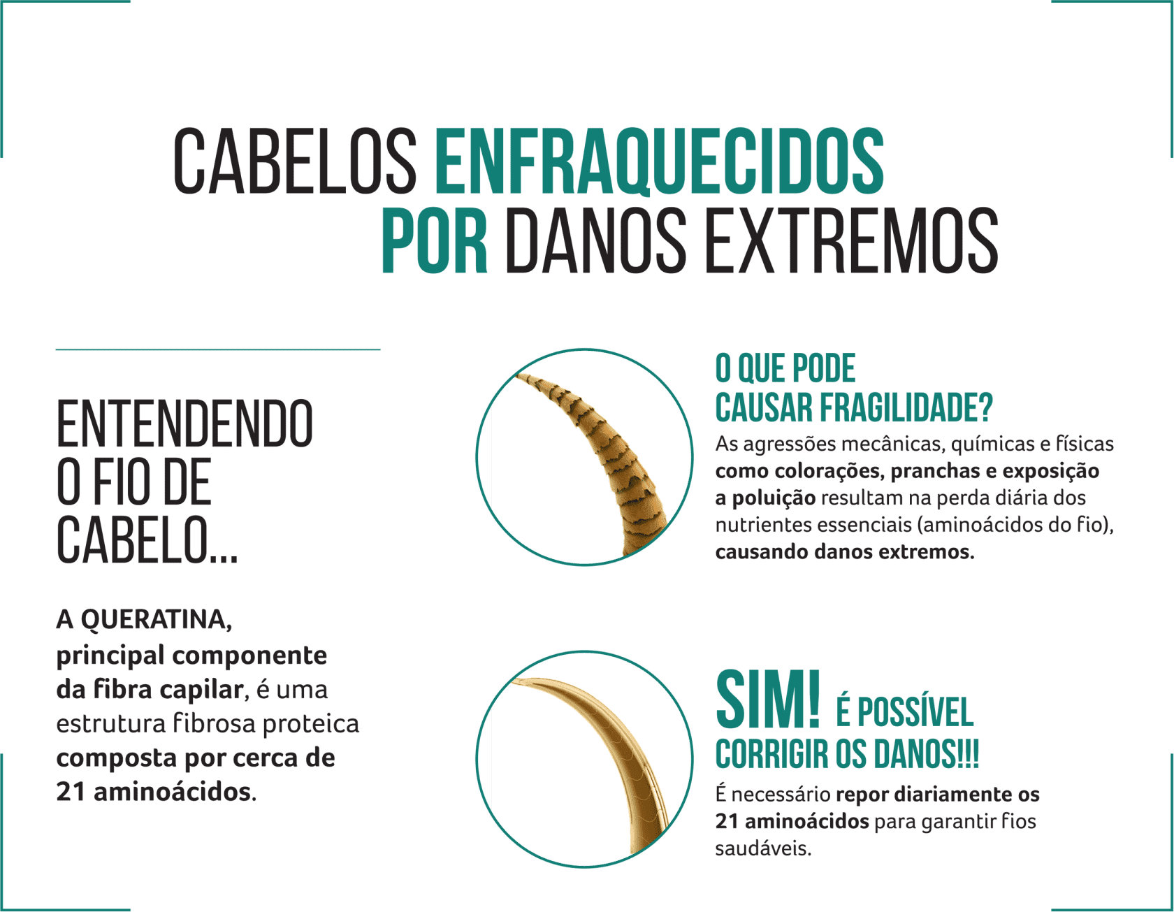 Kit Cadiveu Professional Sol do Rio Recarga de Proteína (3 Produtos)