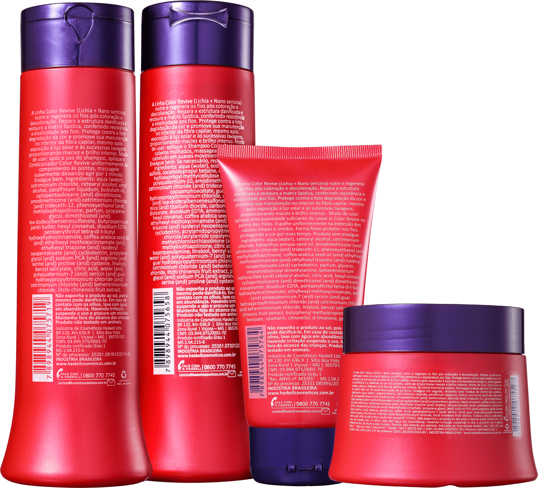 Kit Haskell Color Revive Completo (4 Produtos)