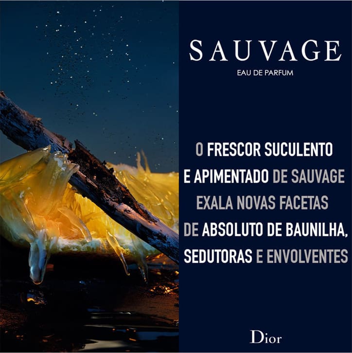 Sauvage Dior Eau de Parfum - Perfume Masculino 100ml