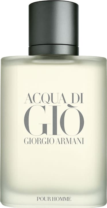 Acqua di Giò Pour Homme Giorgio Armani Eau de Toilette - Perfume Masculino 50ml