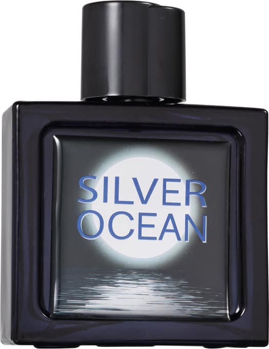 Silver Ocean Coscentra Eau de Toilette - Perfume Masculino 100ml