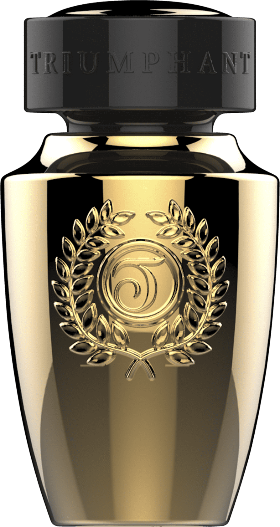 Gold Glory Triumphant Eau de Toilette - Perfume Masculino 100ml