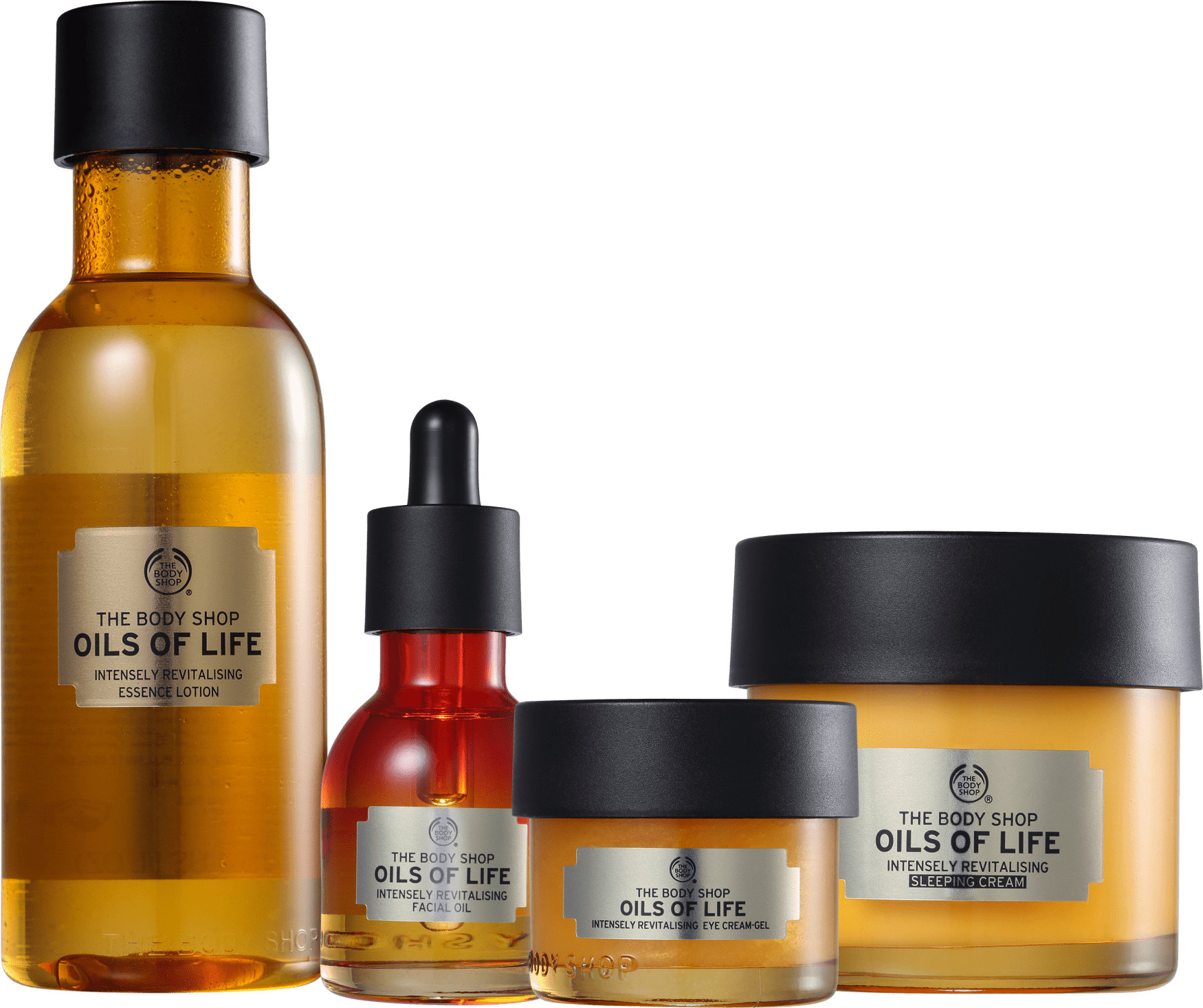 Kit The Body Shop Oils of Life Essenciais (4 Produtos)