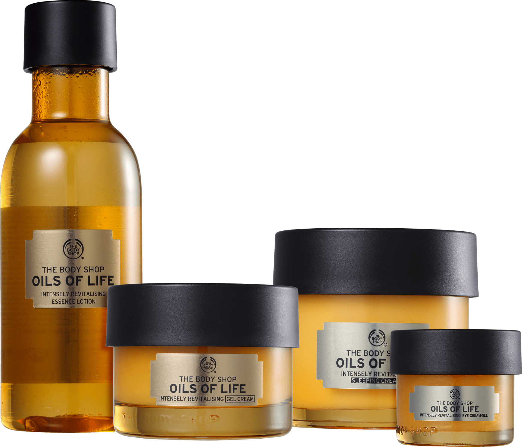 Kit The Body Shop Oils of Life Hidratação (4 Produtos)