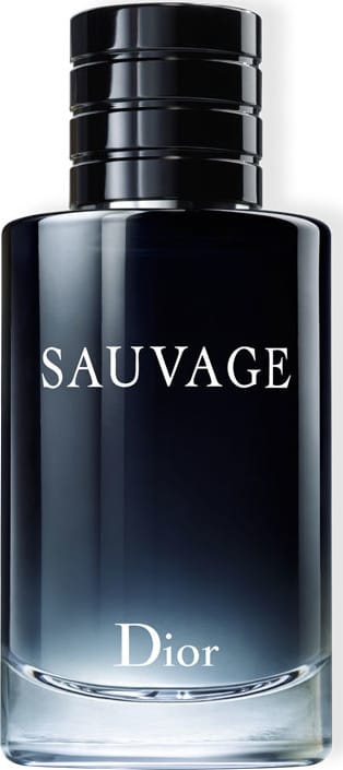 Sauvage Dior Eau de Toilette - Perfume Masculino 100ml