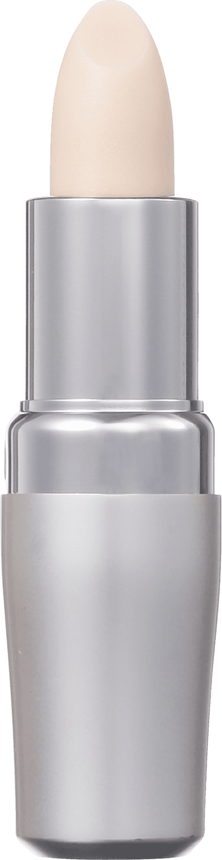 Shiseido The Skincare Protective FPS 10 - Protetor Labial 4g