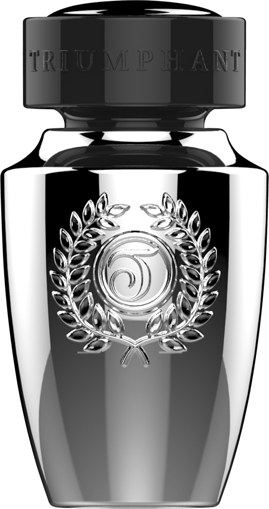 Silver Glory Triumphant Eau de Toilette - Perfume Masculino 100ml
