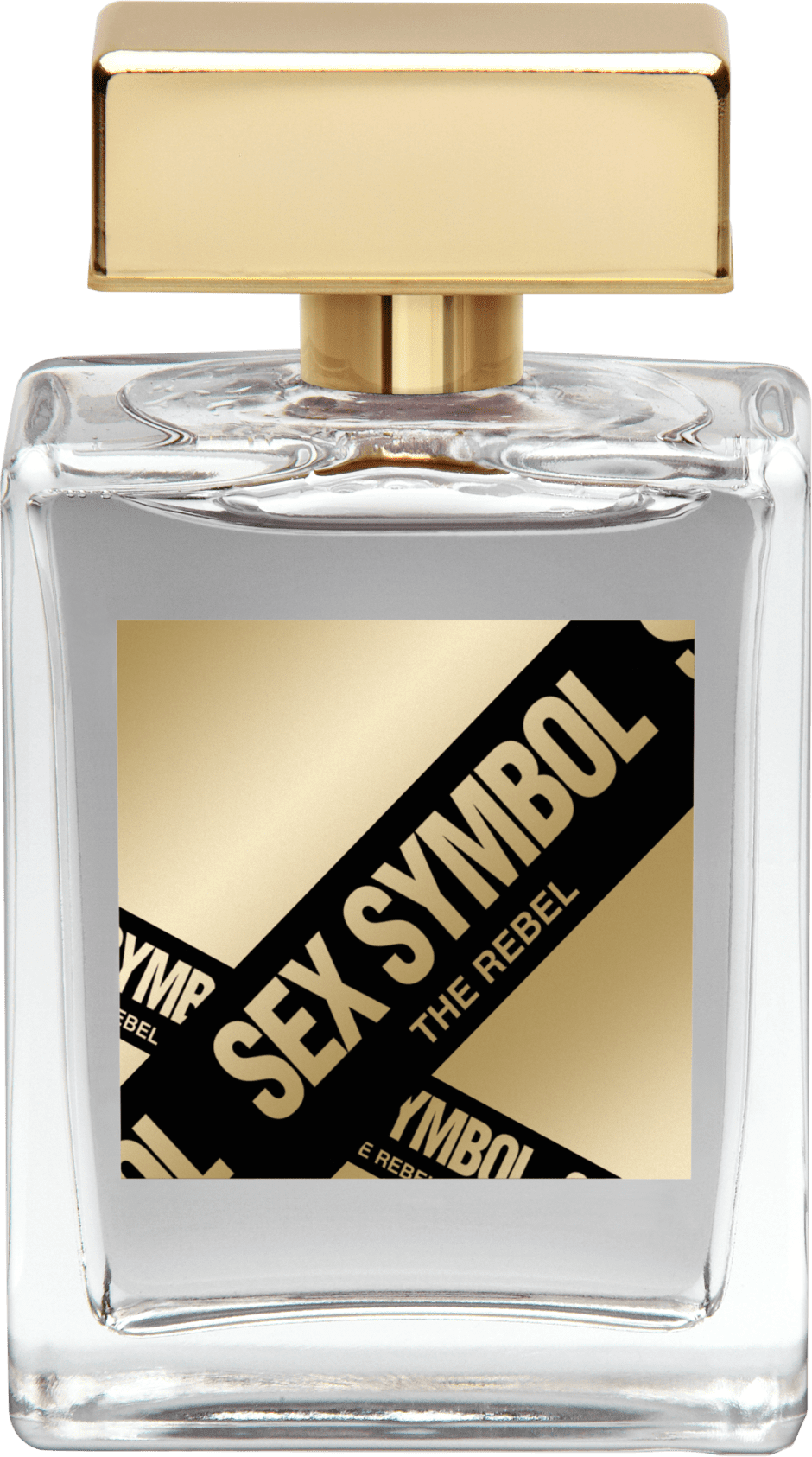The Rebel for Men by Ricardo Barbato Sex Symbol - Perfume Masculino 100ml