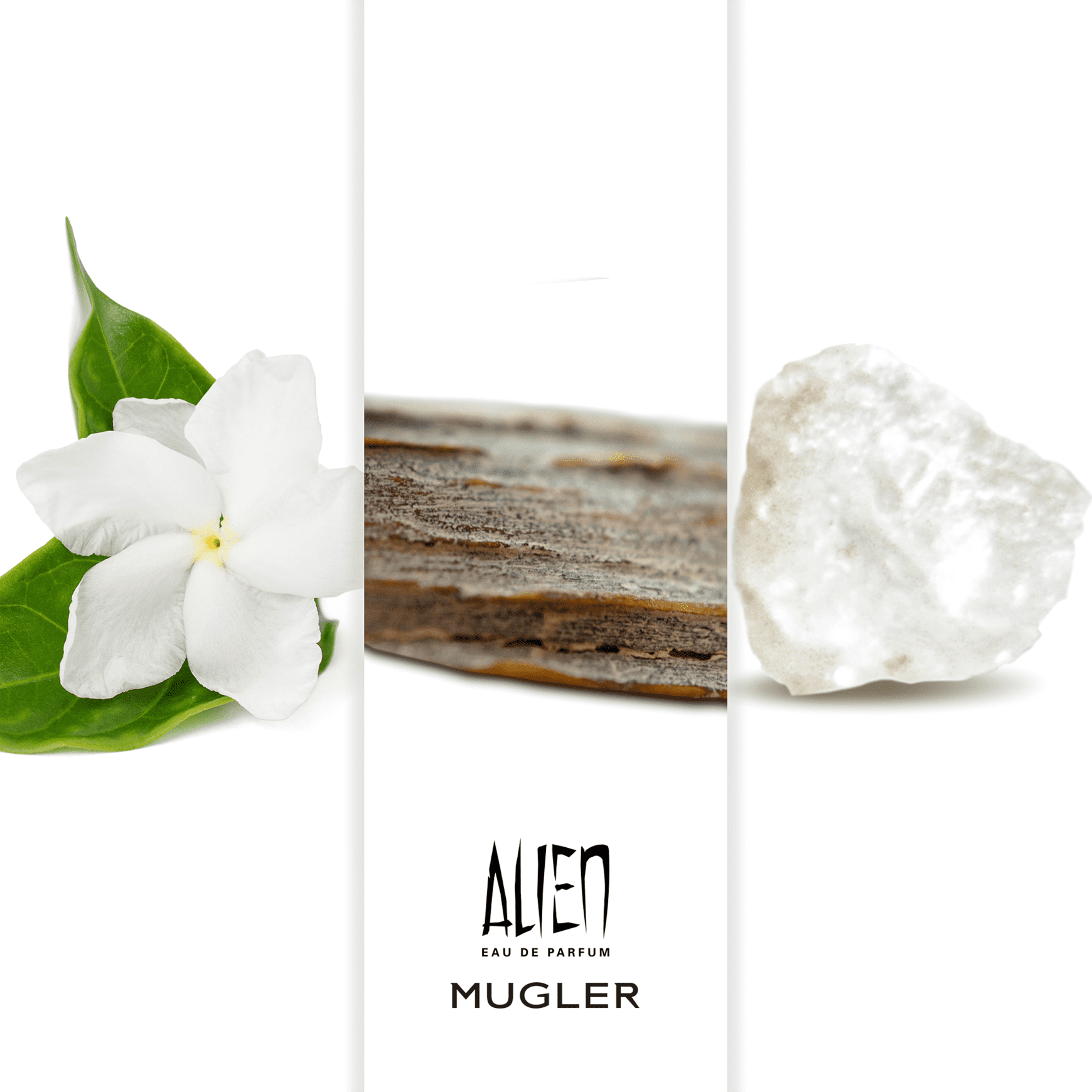 Alien Mugler Eau de Parfum - Perfume Feminino 60ml