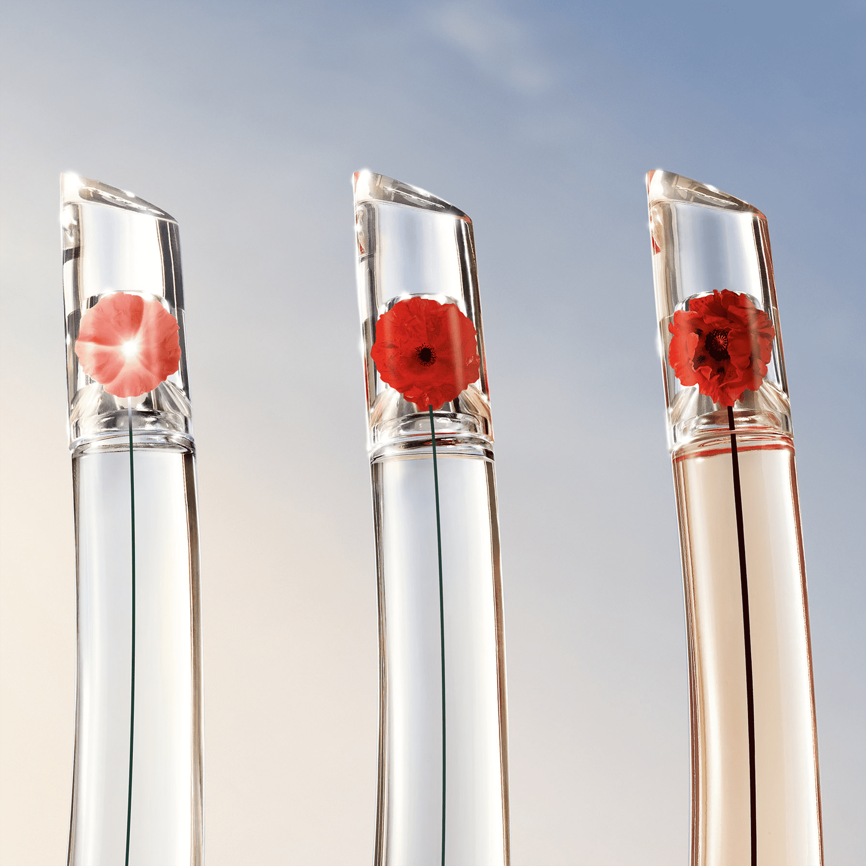 Perfume Importado Flower By Kenzo L’Absolue Feminino Beleza na 