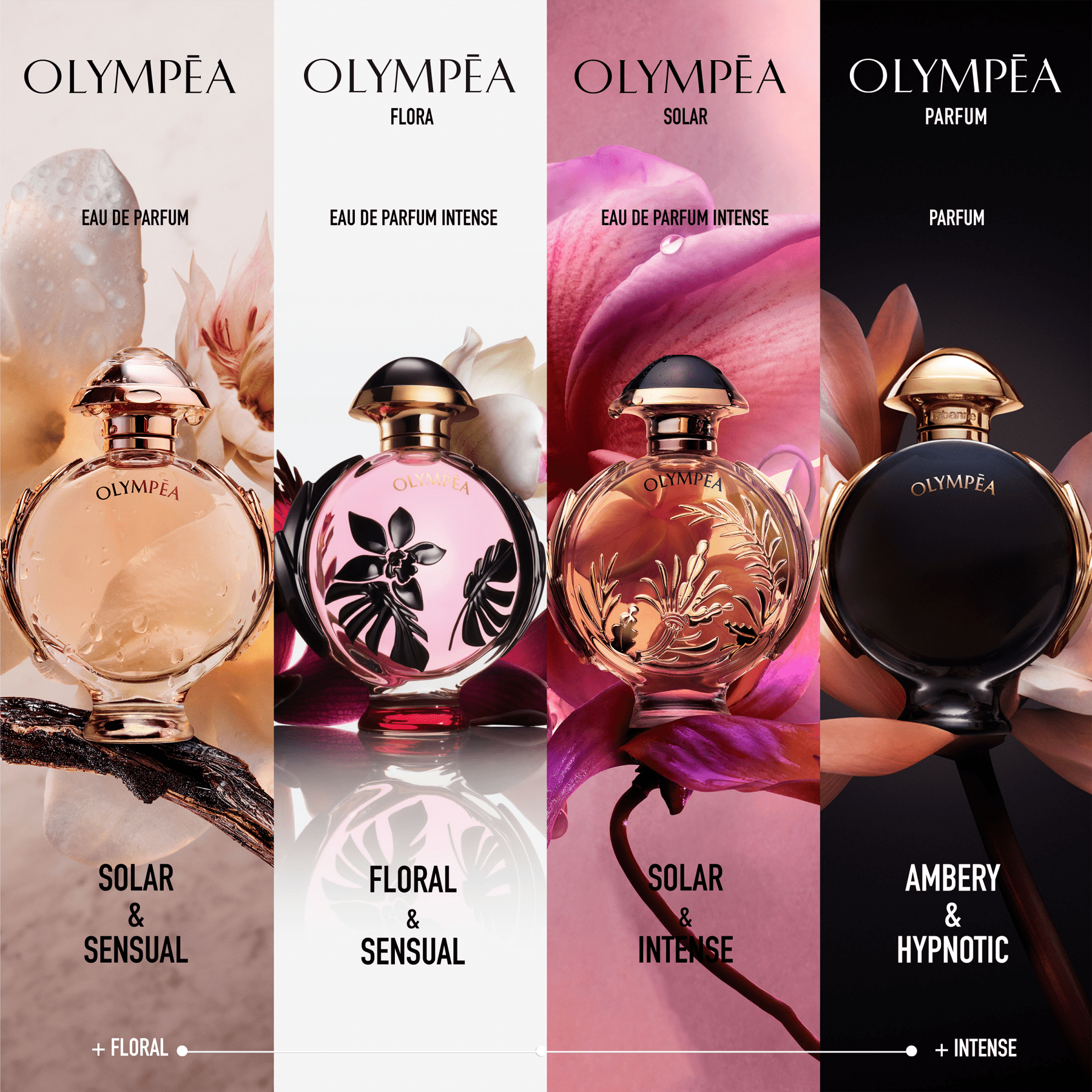 Greekgoddess Olympea Paco Rabanne 500Ml Surabaya - ju7u0qp