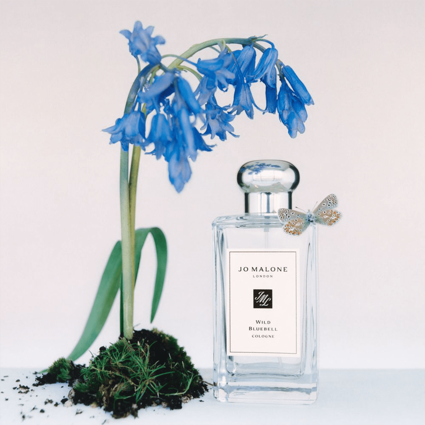 Perfume Wild Bluebell Jo Malone London Cologne Beleza na 