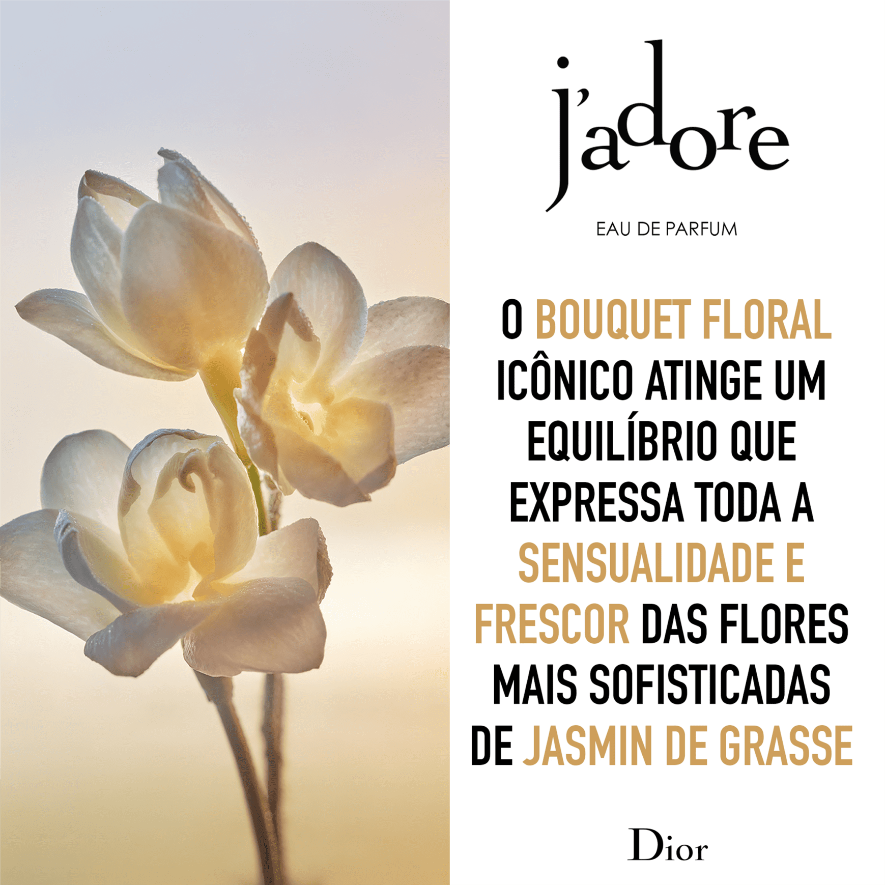J'adore Dior Eau de Parfum - Perfume Feminino 30ml