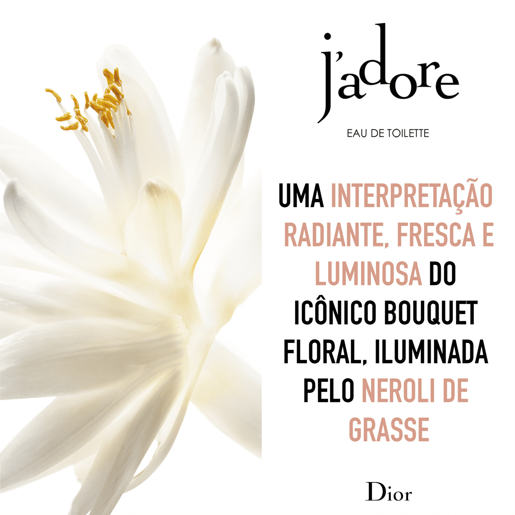 J'adore Dior Eau de Toilette - Perfume Feminino 50ml