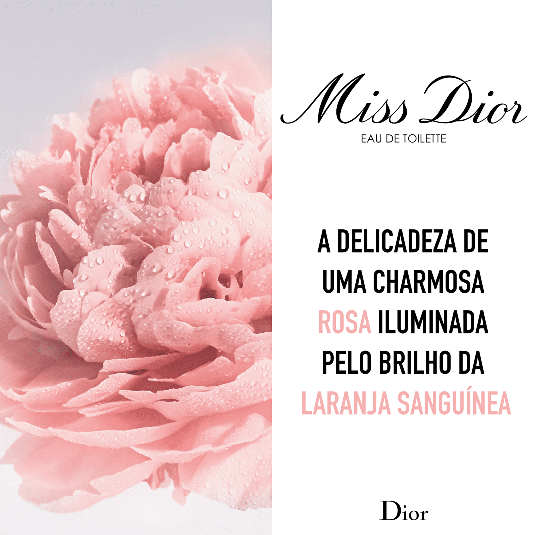 Miss Dior Nova Ed. Eau de Toilette - Perfume Feminino 50ml
