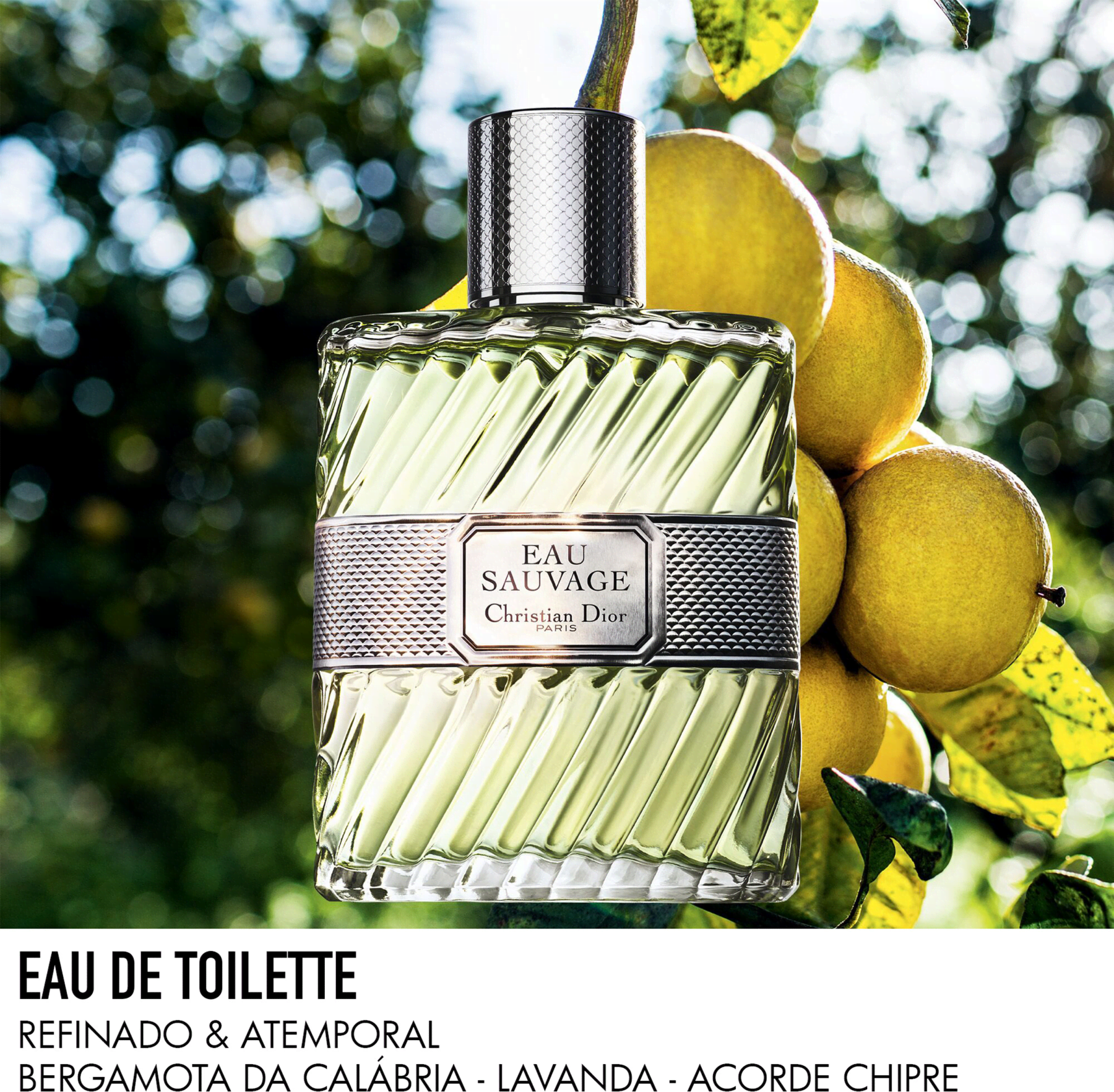 Perfume Eau Sauvage Dior Masculino Eau de Toilette | Beleza na Web