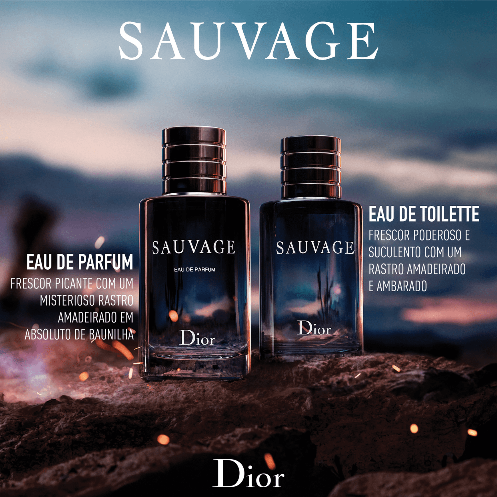 Sauvage Dior Eau de Parfum - Perfume Masculino 100ml