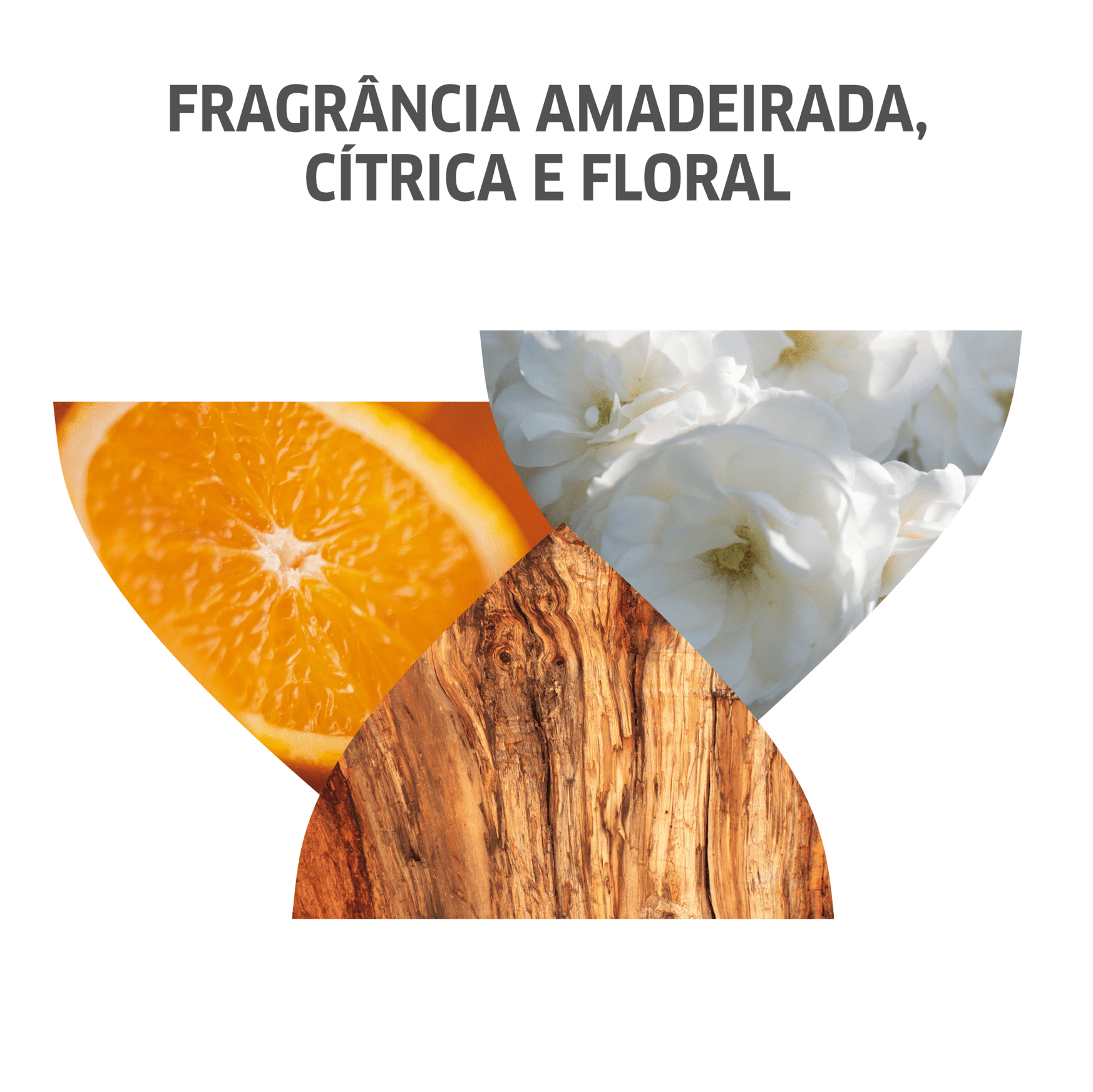 Wella Professionals Invigo Color Brilliance - Máscara Capilar 150ml