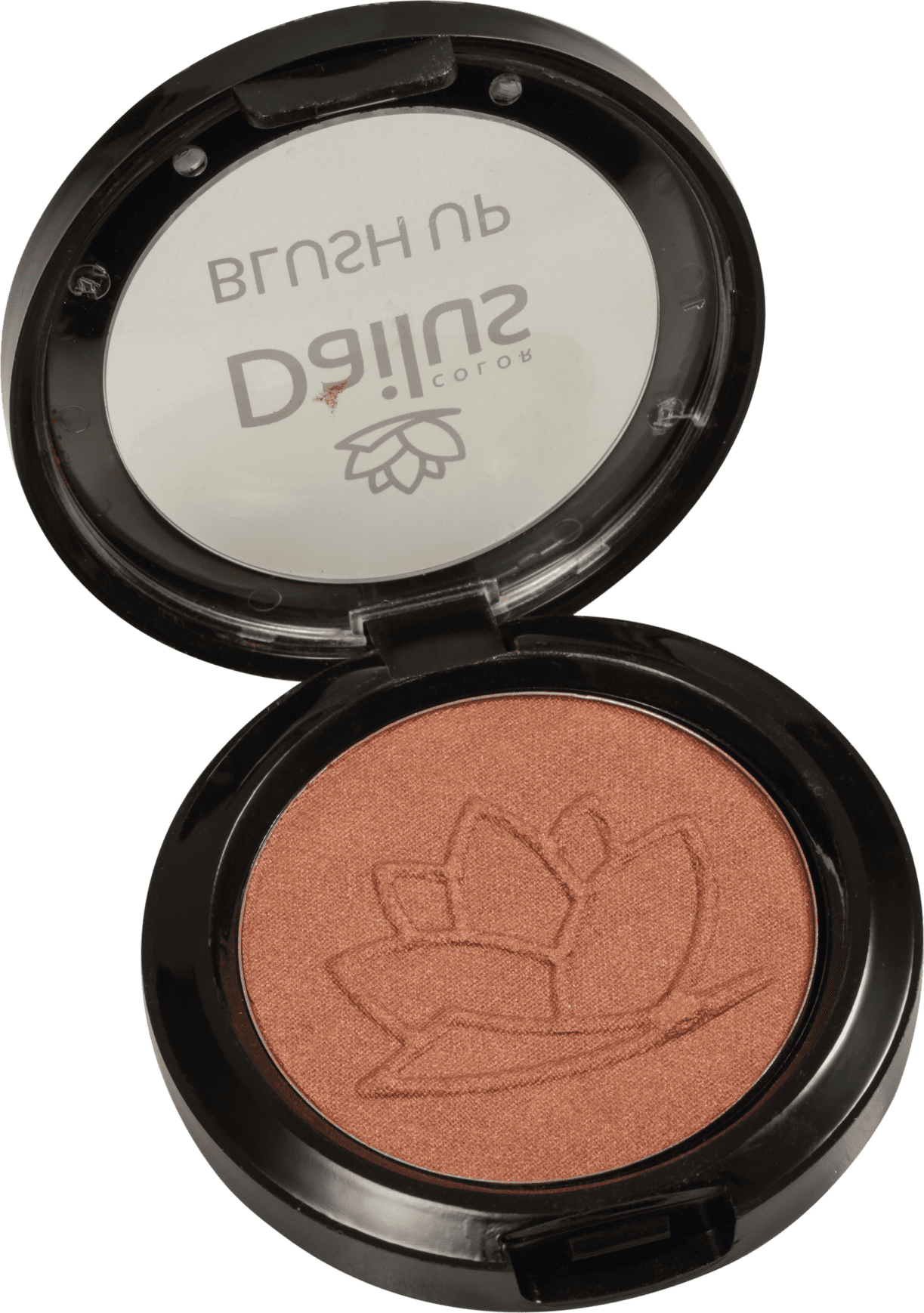 Dailus Up 12 Chocolate - Blush em Pó 4,5g