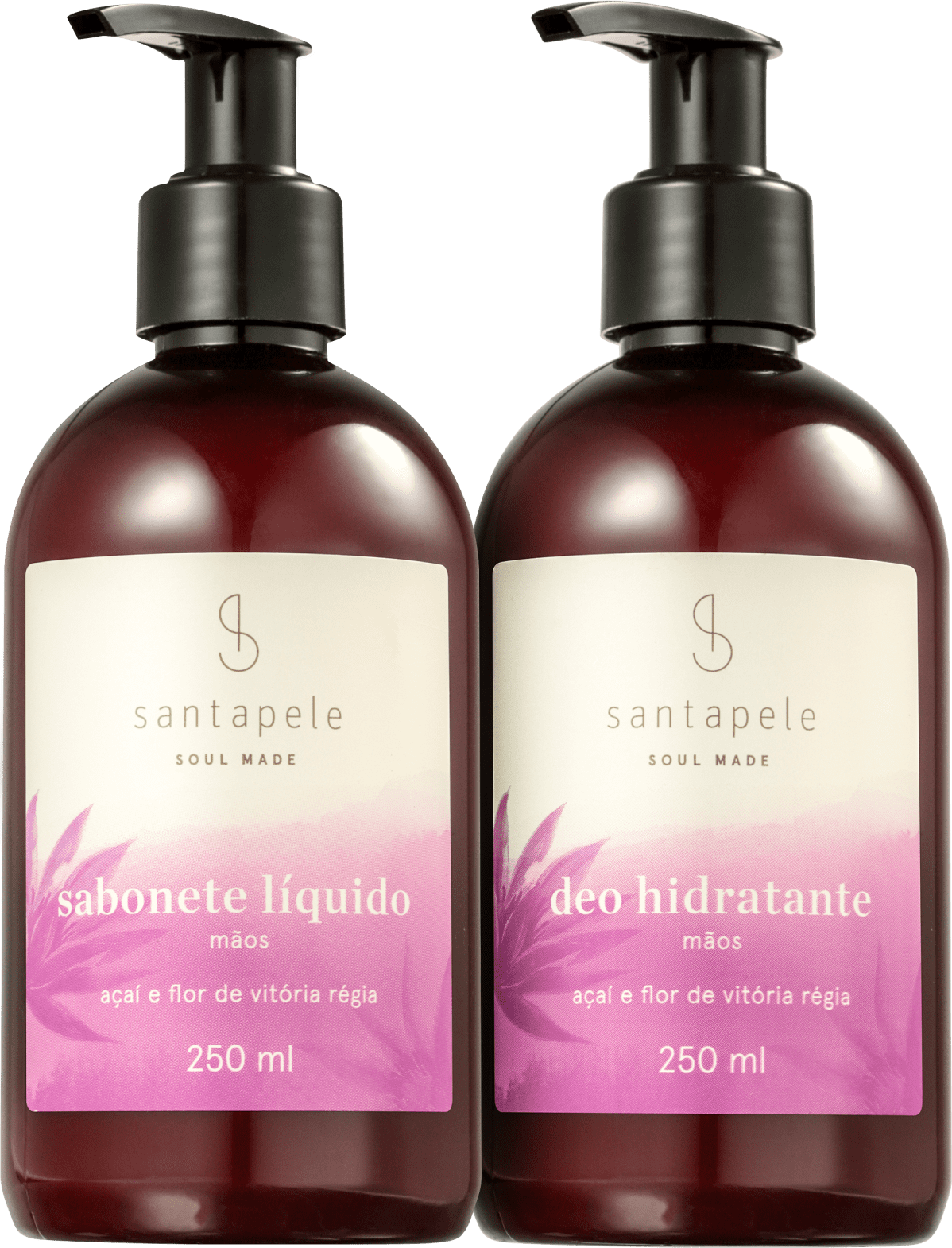 Kit Santapele Açaí e Flor de Vitória-Régia Mãos (2 Produtos)