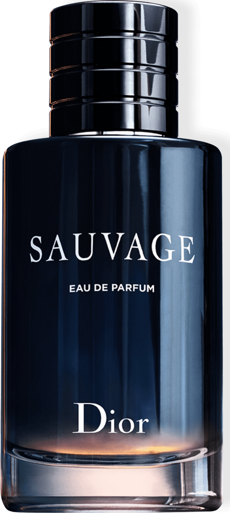 Sauvage Dior Eau de Parfum - Perfume Masculino 200ml