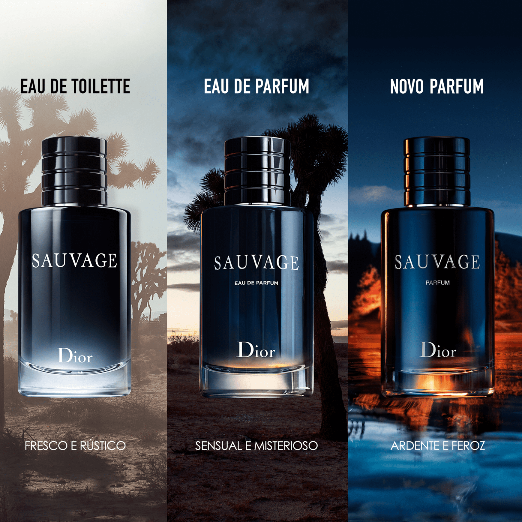Sauvage Dior Eau de Parfum - Perfume Masculino 200ml
