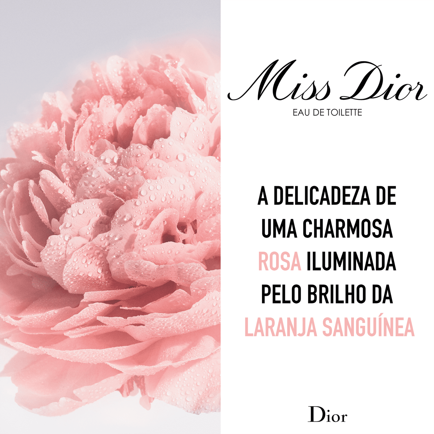 Miss DIOR Roller-Pearl Eau de Toilette - Perfume Feminino 20ml