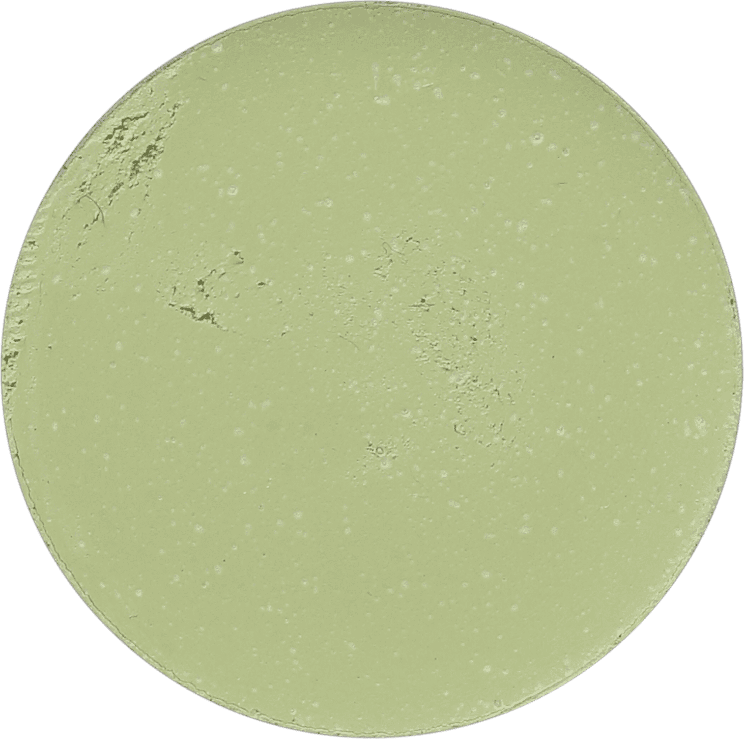 Catharine Hill Refil Verde - Corretivo Compacto 2g