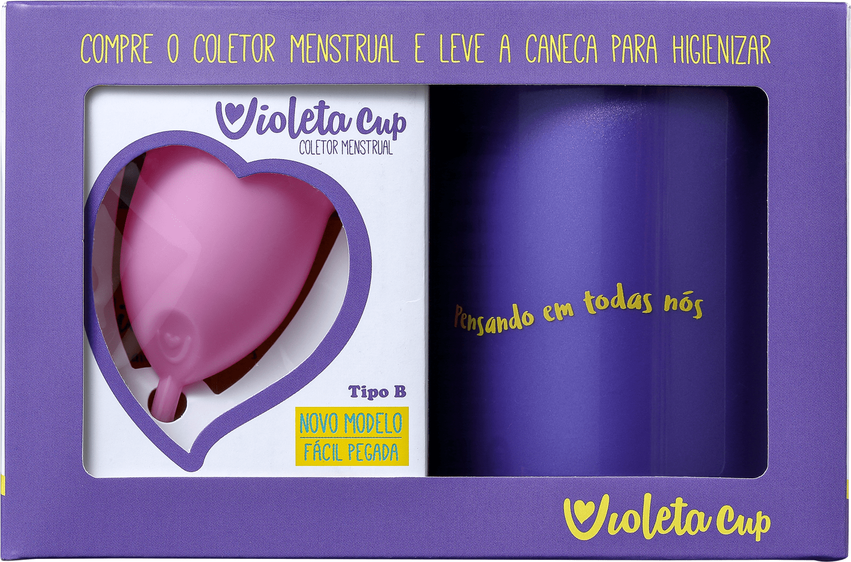 Kit Violeta Cup Tipo B Rosa (2 Produtos)