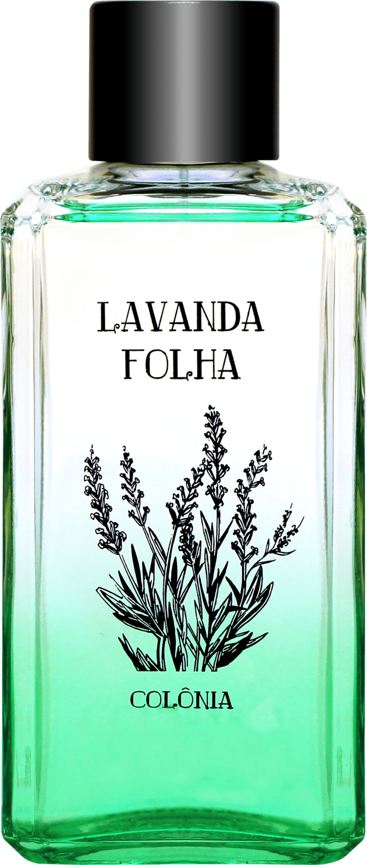 Lavanda Folhas Phebo Eau de Cologne - Perfume Unissex 260ml