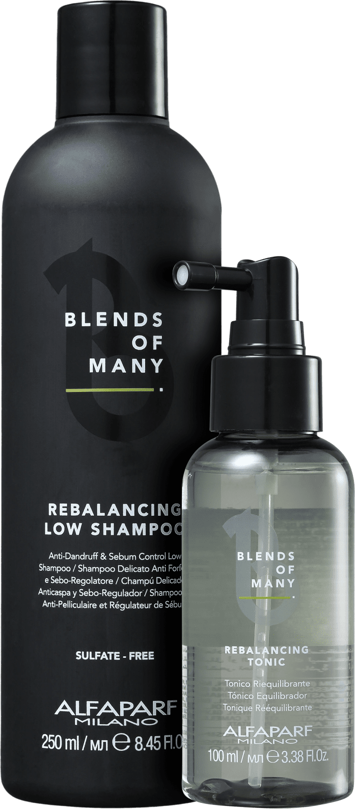 Kit Alfaparf Blends Of Many Rebalancing Duo (2 Produtos)