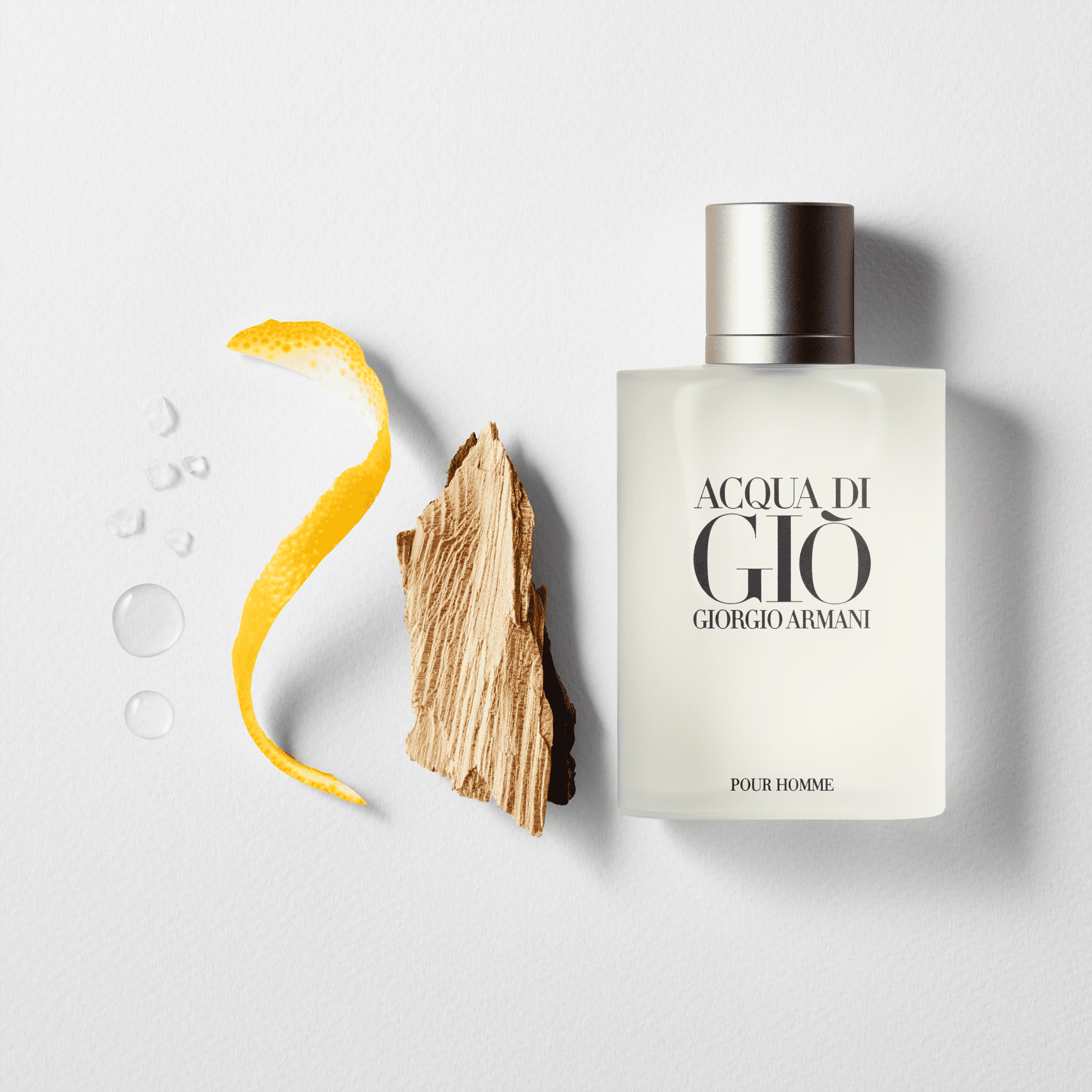 Acqua di Giò Pour Homme Giorgio Armani Eau de Toilette - Perfume Masculino 50ml