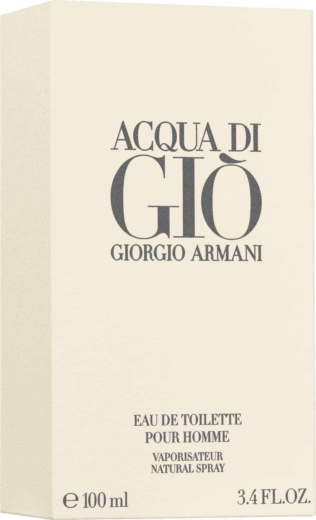 Acqua di Giò Pour Homme Giorgio Armani Eau de Toilette - Perfume Masculino 100ml