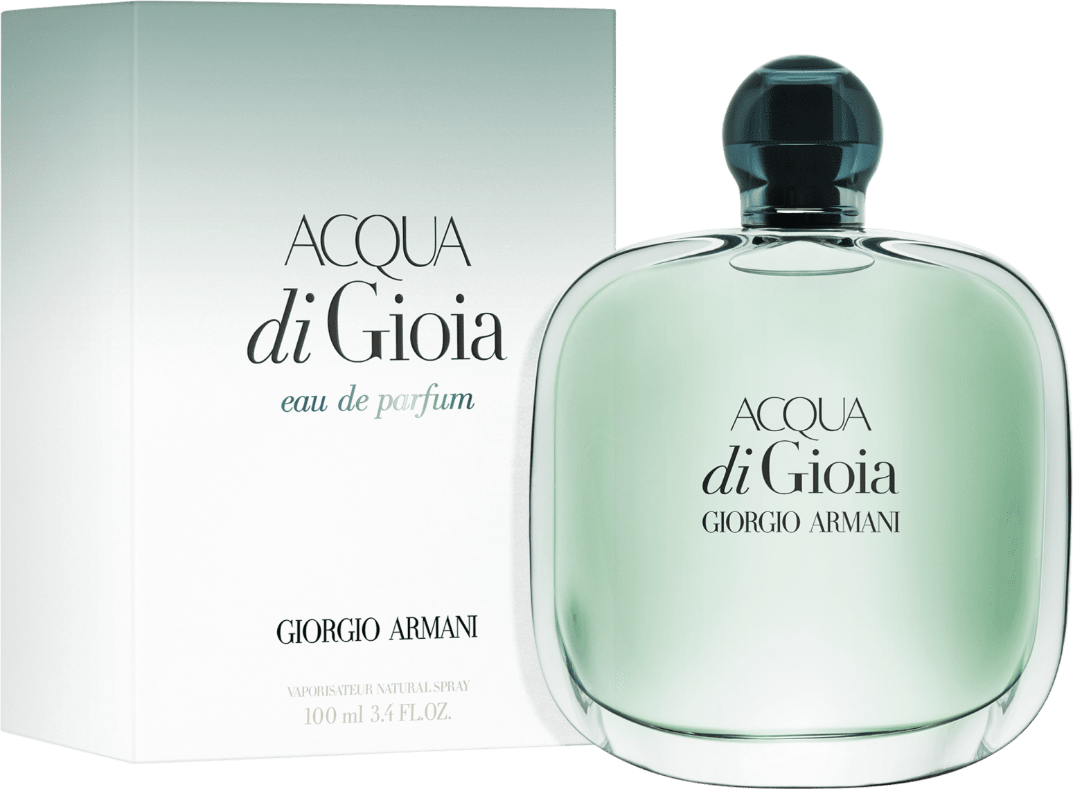 Acqua di Gioia Giorgio Armani Eau de Parfum - Perfume Feminino 100ml